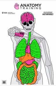 Action Target GSANATOMY100 Entertainment Training Silhouette/Vitals Paper Target 23