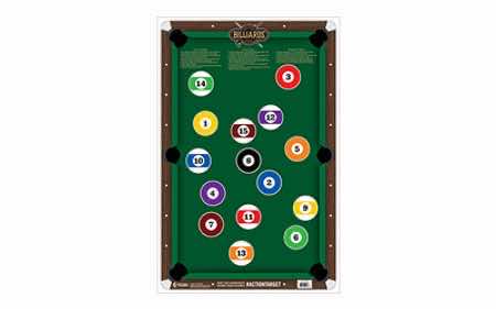 Action Target GSPOOL100 Entertainment Pool Table Paper Hanging 23