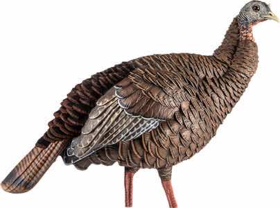Avian X AVXAVX8106 HDR Hen Turkey Species Multi Color