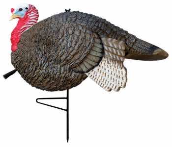 Primos 69074 Lil' Gobstopper Jake Turkey Species Multi Color