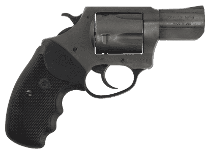 Charter Arms 64420 Bulldog Large 44 S&W Spl 5 Shot, 2.50