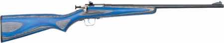 Crickett KSA2222 Youth 22 LR 1rd 16.12