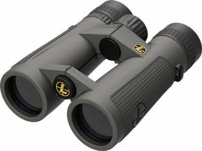 Leupold 174483 BX-5 Santiam HD 10x 42mm Roof Prism Shadow Gray Armor Coated