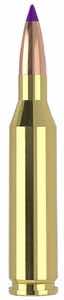 Nosler 40041 243 Win 70 gr Ballistic Tip Varmint 20 Per Box/ 10 Case