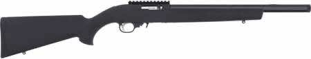 Ruger 10/22 Carbine 31221