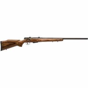 Savage Arms 19738 25 Lightweight Varminter 17 Hornet Caliber with 4+1 Capacity, 24