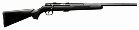 Savage Arms 32172 Axis 2 XP Combo Full Size 22-250 Rem 4+1 22