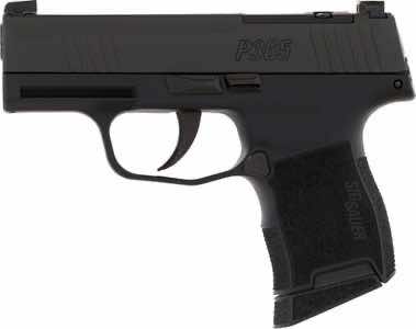 Sig Sauer 3659BXR3P P365 BXR Micro-Compact 9mm Luger 10+1 3.10