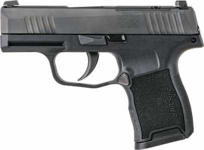 Sig Sauer 365380BSSMS P365 Micro-Compact 380 ACP 10+1 3.10